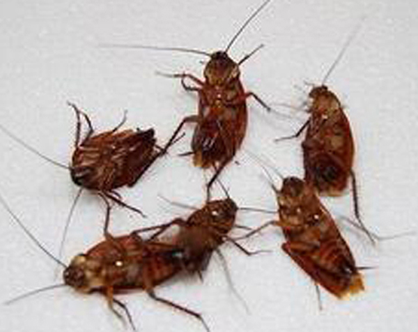 �����Q(ch��ng)���ɹ�����2
�������ڣ�2015-05-24 12:37:15
�g�[�Δ�(sh��)��9155