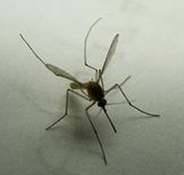 �����Q(ch��ng)���ɹ�����3
�������ڣ�2015-05-24 12:37:15
�g�[�Δ�(sh��)��9132