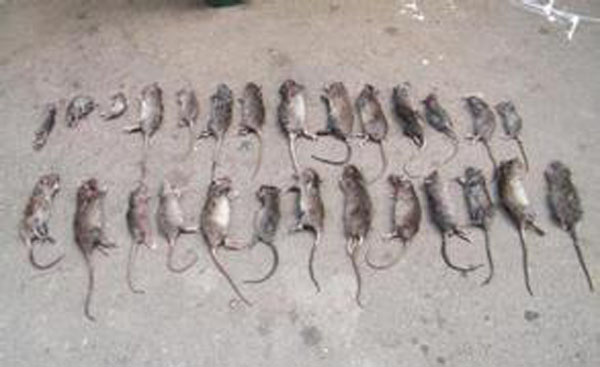 �����Q(ch��ng)���ɹ�����1
�������ڣ�2015-05-24 12:37:15
�g�[�Δ�(sh��)��9124