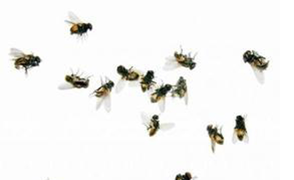 �����Q(ch��ng)���ɹ�����4
�������ڣ�2015-05-24 12:37:15
�g�[�Δ�(sh��)��9498