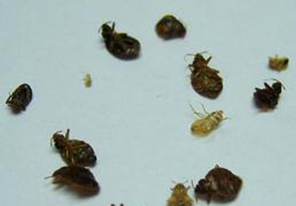 �����Q(ch��ng)���ɹ�����6
�������ڣ�2015-05-24 12:37:15
�g�[�Δ�(sh��)��9845