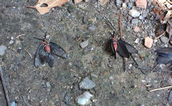 �����Q(ch��ng)���ɹ�����8
�������ڣ�2015-05-24 12:43:02
�g�[�Δ�(sh��)��9776