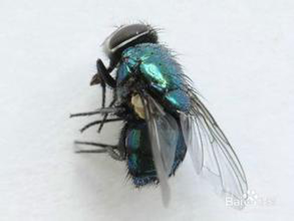 �����Q(ch��ng)���ɹ�����12
�������ڣ�2015-05-24 12:43:02
�g�[�Δ�(sh��)��9331